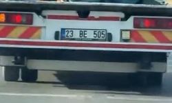 Tosun Çekicide Görüntülendi, Görenler Şaşırdı