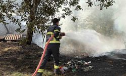 Tosya'da örtü yangını bahçeleri tehdit etti
