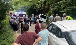 Trabzon'da kaza: 5 kişi yaralandı