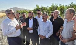 Tumlu Yaylası'nda kiraz hasadı ve asfalt yol heyecanı