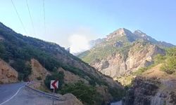 Tunceli'de Munzur Vadisi'nde yangınla mücadele devam ediyor