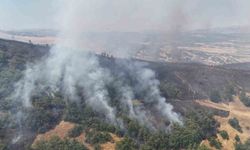 Tunceli'de orman yangını: Ekipler havadan ve karadan müdahale ediyor