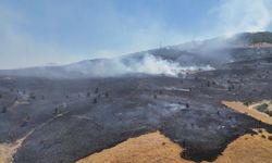 Tunceli'deki orman yangını kontrol altına alındı