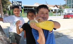 Üç arkadaşın köşe başında limonata girişimi