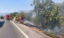 Ula'da yol kenarındaki yangın paniğe neden oldu