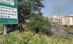 Ümraniye'de otluk alanda çıkan yangın paniğe neden oldu