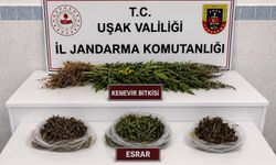 Uşak'ta jandarmadan büyük kaçakçılık operasyonu