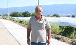Üzüm hasadı başladı, yollar yenileniyor