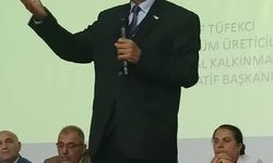 Üzüm Üreticilerinden Acil Eylem Planı Talebi