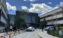 Van'a 234 yeni doktor kadrosu atandı