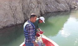 Van'da sazangiller av yasağı kalktı