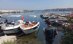 Yalova'da arıtma yapılmadan denize atık su deşarjına 7,9 milyon lira ceza