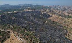 Yangının etkileri sabah saatlerinde netleşti