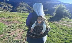 Yaylalarda emek verenler, Erzincan tulum peynirini sofralara taşıyor