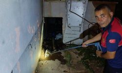 Yılan, depo içerisinde paniğe yol açtı