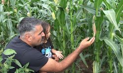 Yirmi yıl sonra Rusya'dan dönüp ata tohumlarını yeniden canlandırdı