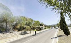 Yol kenarındaki yangın ormana sıçradı, ekipler hızlıca müdahale etti