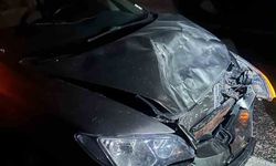 Yolda aniden beliren eşek kaza çıkardı