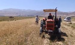 Yüksekova'da Çiftçiler Kavurucu Sıcaklarda Hasat İçin Tarlada