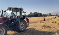 Yüksekova'da imece geleneği: Hasat sezonu keyifle sürüyor