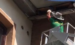 Yüksekova'da kurtarma operasyonu: Çatıda mahsur kalan güvercin için hızlı müdahale
