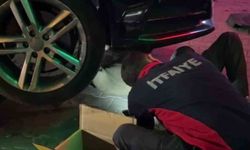 Yunanistan'dan gelen sürpriz misafir Bolu'da kurtarıldı