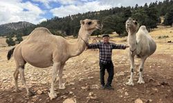 73 Yaşındaki Sarıkeçili Yörük, Atalarının Geleneğini Yaşatıyor