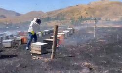 Adıyaman'da çıkan yangın, 200 arı kovanını yok etti