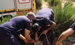 Adıyaman'da Kuyuya Düşen Yavru Kedi İtfaiye Tarafından Kurtarıldı