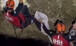 Alanya'da 10 metrelik su kuyusundan kurtarılan kedi sevindirdi