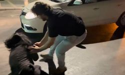 Alkollü Kadın Sürücü, Polise Direnip Gazeteciye Tükürdü: Tutuklandı