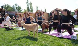 Ankara'da Rengarenk Spor Etkinliği: Cüce Keçilerle Egzersiz Keyfi