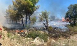 Antalya'da Zirai Yangın Ekiplerin Hızlı Müdahalesiyle Söndü