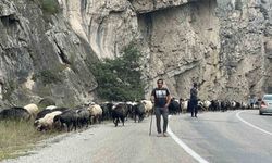 Artvin Yaylalarında Dönüş Zamanı