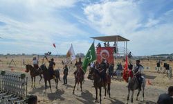 Ayvalık'ta Rahvan At Yarışları Coşkusu: 100 At Piste Çıktı