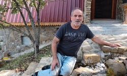 Bahçesinde Tilkiyle Dostluk Kurdu