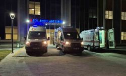 Bartın'da fındık işçilerini taşıyan patpat kaza yaptı: 8 yaralı
