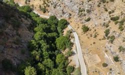 Beytüşşebap'ta 5 Kilometrelik Beton Yol Projesinde İlk Kilometre Tamamlandı