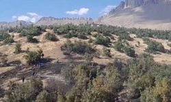 Beytüşşebap'ta Orman Yangını: İtfaiye ve Güvenlik Ekipleri Savaş Veriyor