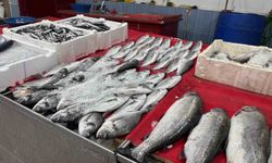 Bingöl'de Balık Tezgahları Canlandı