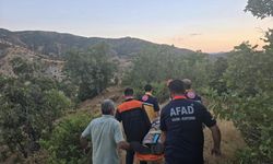 Bingöl'de Ormanlık Alanda Kaybolan Kişi Bulundu