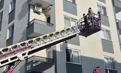 Böcek Korkusu Kadını Ölümle Yüz Yüze Getirdi