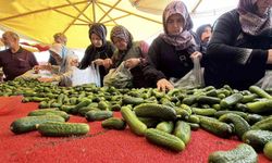 Bolu'da Kış Hazırlıkları Hız Kazandı