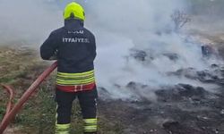 Bolu'da Yol Kenarında Yangın Korkuya Neden Oldu
