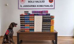 Bolu'da Yolcu Otobüslerine Kaçak Tütün Baskını: 760 Bin TL Değerinde Ele Geçirildi