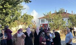 Bolu'daki Yangın 3 Evi Tehdit Etti