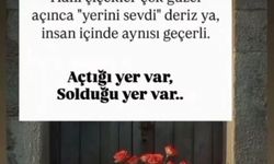 Boşanma Sürecindeki Kadının Son Paylaşımları Olayı Gölgeledi