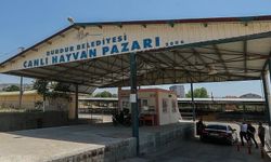 Burdur'da Hayvan Pazarı, Şap Hastalığı Nedeniyle Geçici Olarak Kapatıldı