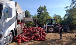 Bursa'da 8 Ton Kaçak Midye Yakalandı