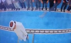Cami içindeki kediyi tekmeleyen kişi serbest bırakıldı